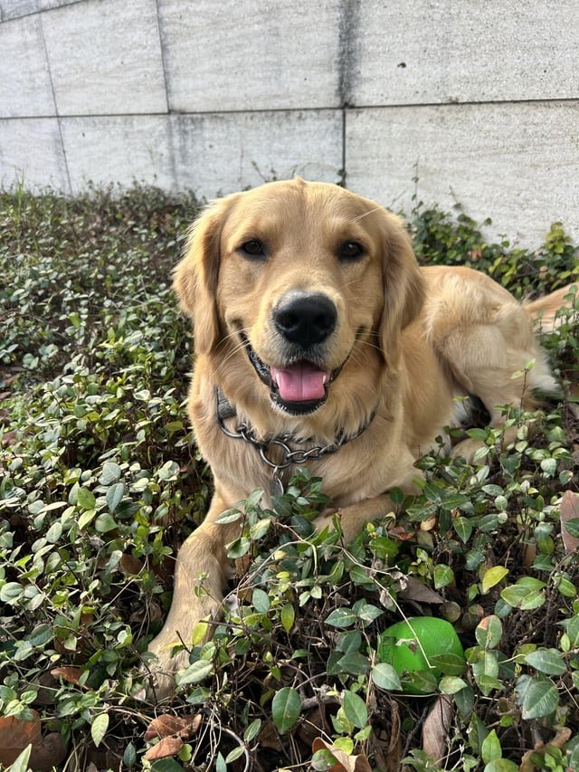 避妊手術をするメリットと期待できる変化