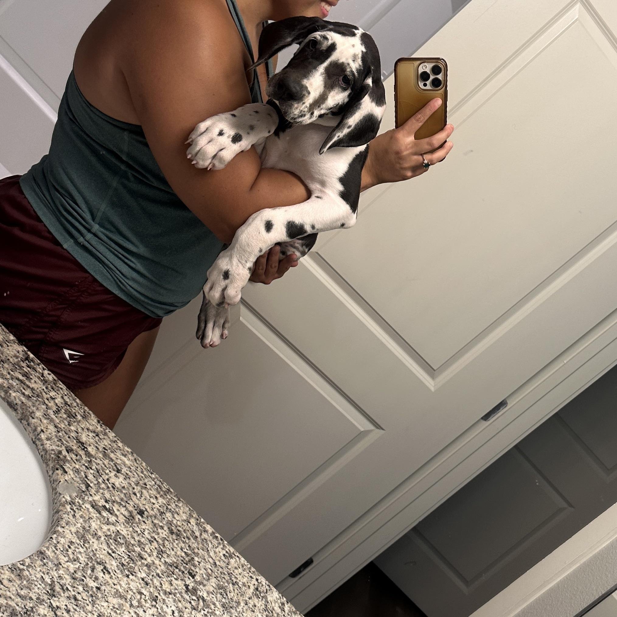 去勢するメリットとデメリットを整理