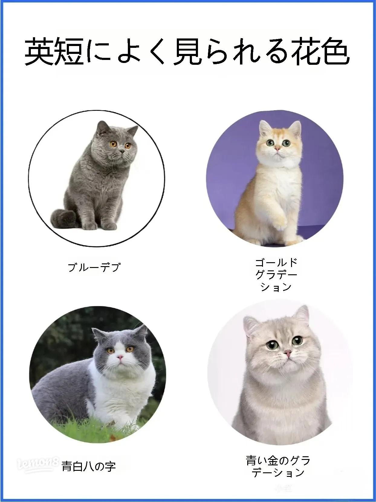 【コツ2】体重とウンチを見ながら調整する