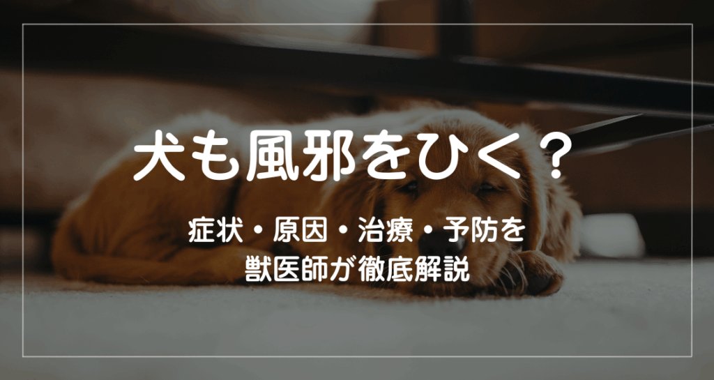 すぐに動物病院へ相談すべき危険サイン