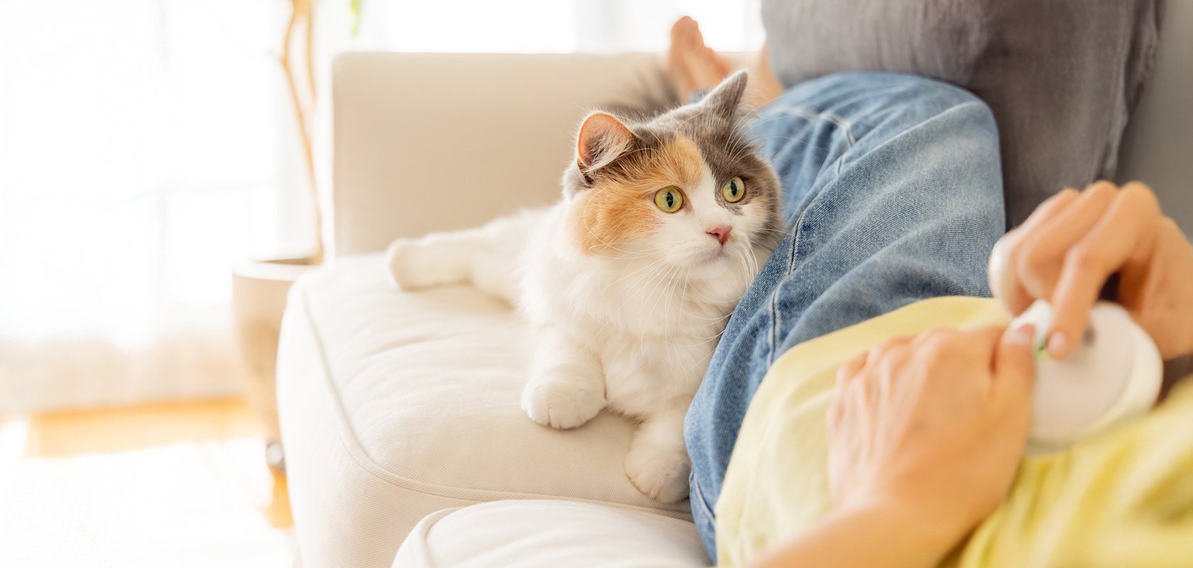 去勢前から始めたい予防と心構え