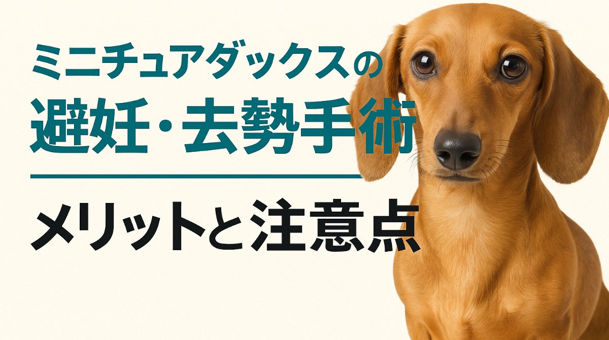 注意点6：避妊後に増えやすい病気と体調管理