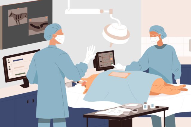 避妊去勢や腫瘍手術など術式別の注意点