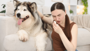 犬アレルギーは病気？市販薬で損しない7つの注意