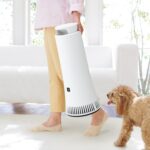 犬アレルギーに空気清浄機は有効？失敗しない効果の出し方5つ