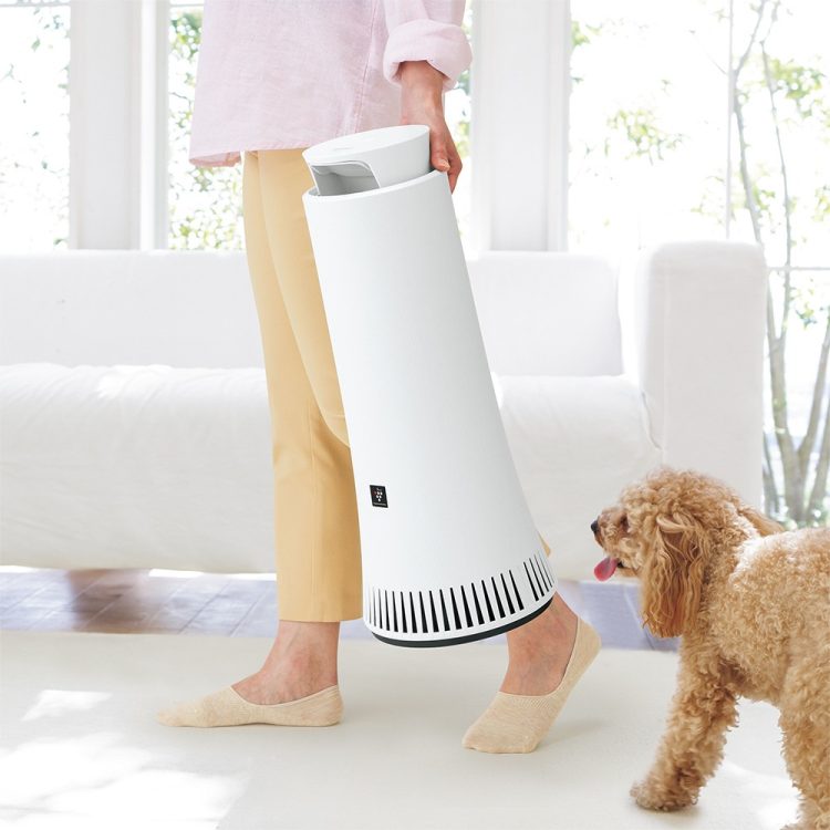 犬アレルギーに空気清浄機は有効？失敗しない効果の出し方5つ