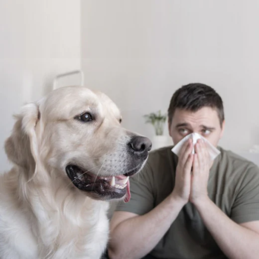犬アレルギーが急にひどくなった？病気を見逃さない対処法5つ