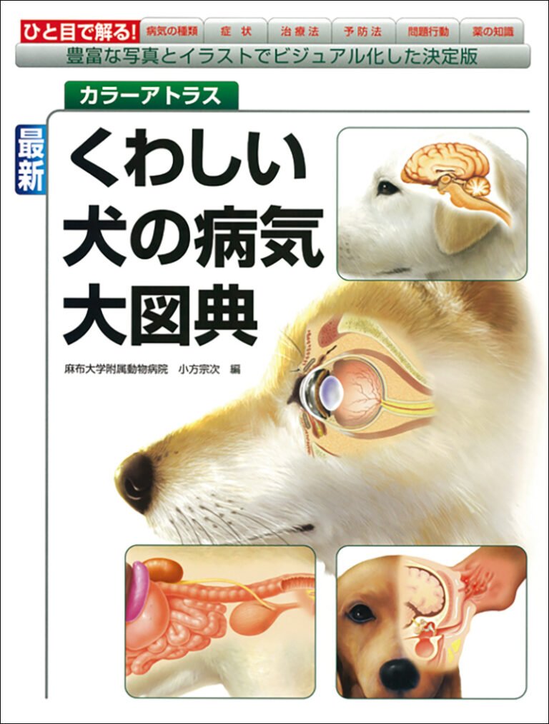 犬のアレルギーとは何かと代表的な病気の種類