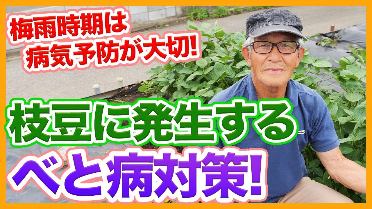 病気予防のための耳ケア三つのポイント
