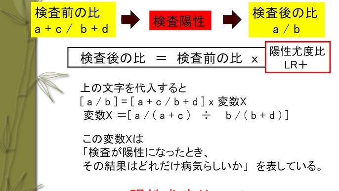 検査後の生活と愛犬との付き合い方