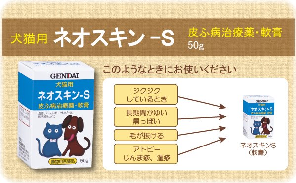犬アレルギーに市販薬を使うときのQ&A