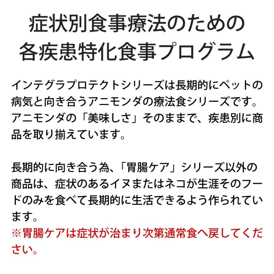 犬アレルギーと向き合うための相談先