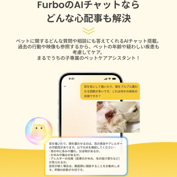 自宅でできる耳チェックとケアの基本