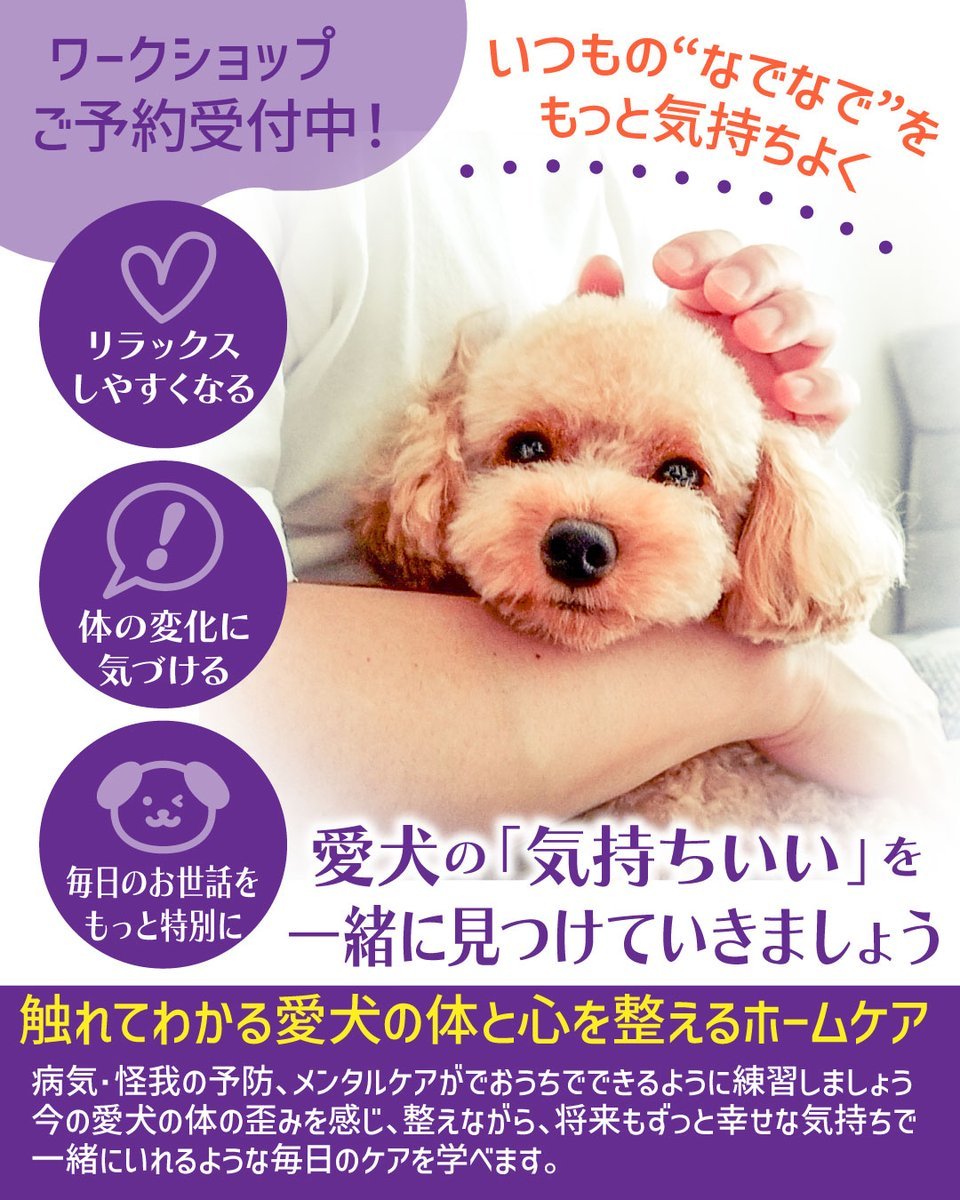 自宅で気づける犬の外耳炎の主な症状