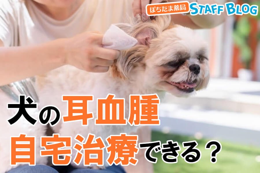 耳血腫は自然治癒する?自宅治療の可否