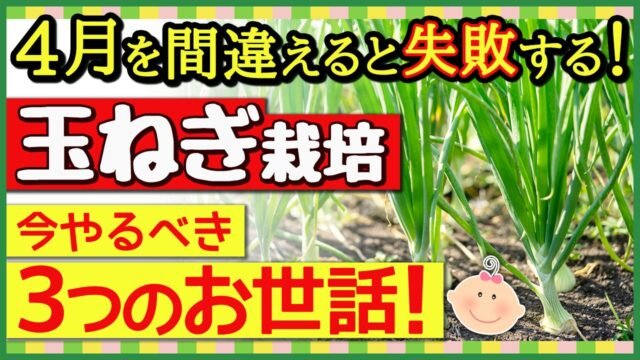 失敗しない自宅での耳掃除の基本ステップ