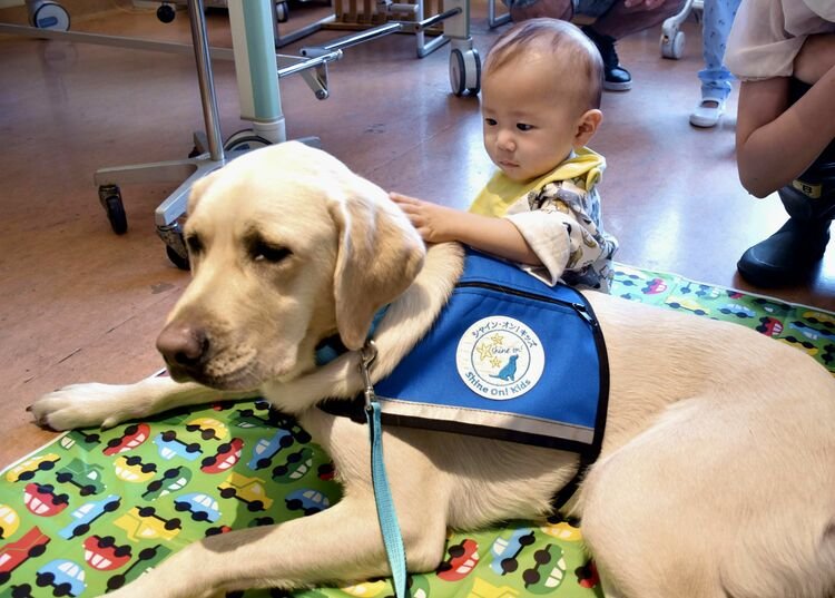 子供と犬の心のケアと家族で守りたいルール