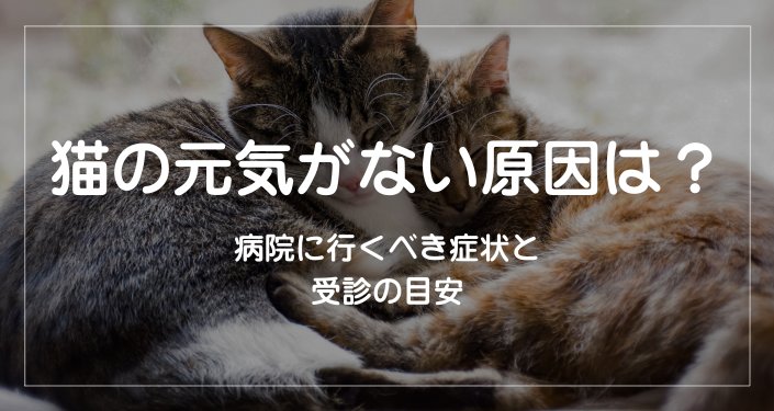 動物病院ではこんな検査と診断が行われる