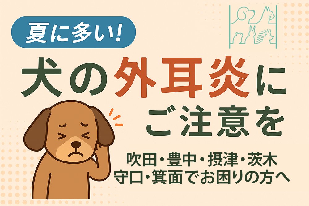 季節別に注意したい耳トラブルと対策