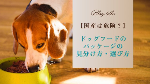 見方のポイント3:添加物と安全性をチェック
