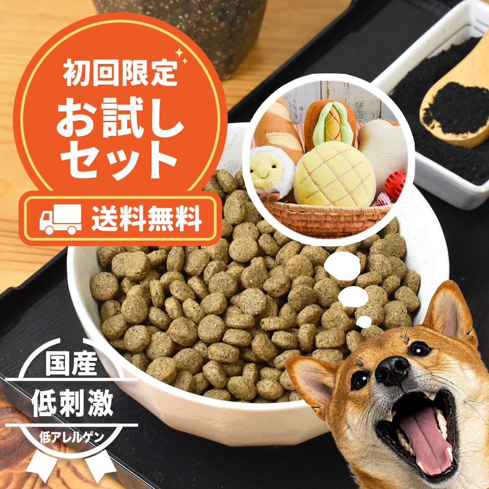 初心者でも選びやすいドッグフードの基準