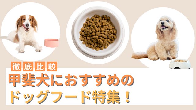 小型犬用ドッグフードを選ぶときの基本ポイント
