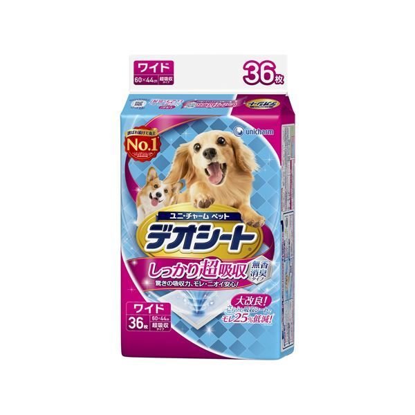 フードロスを減らすための購入量と選び方