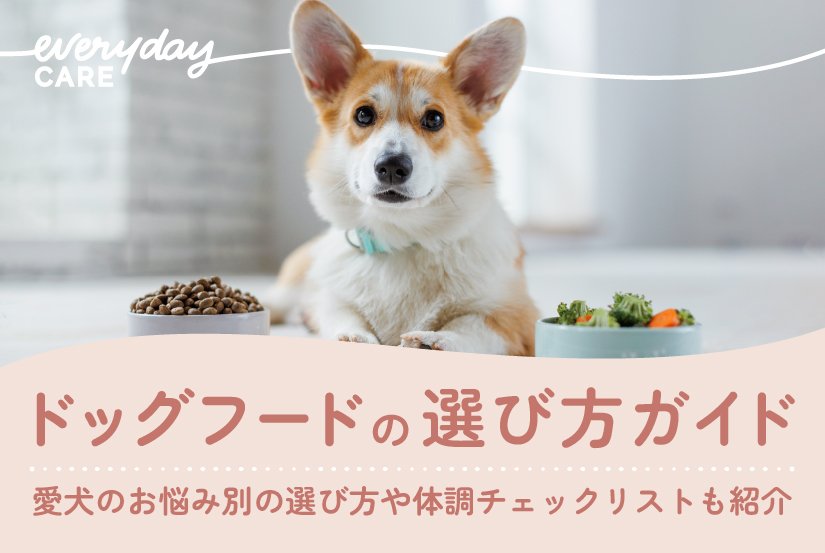 悩み別ドッグフード選びの基準