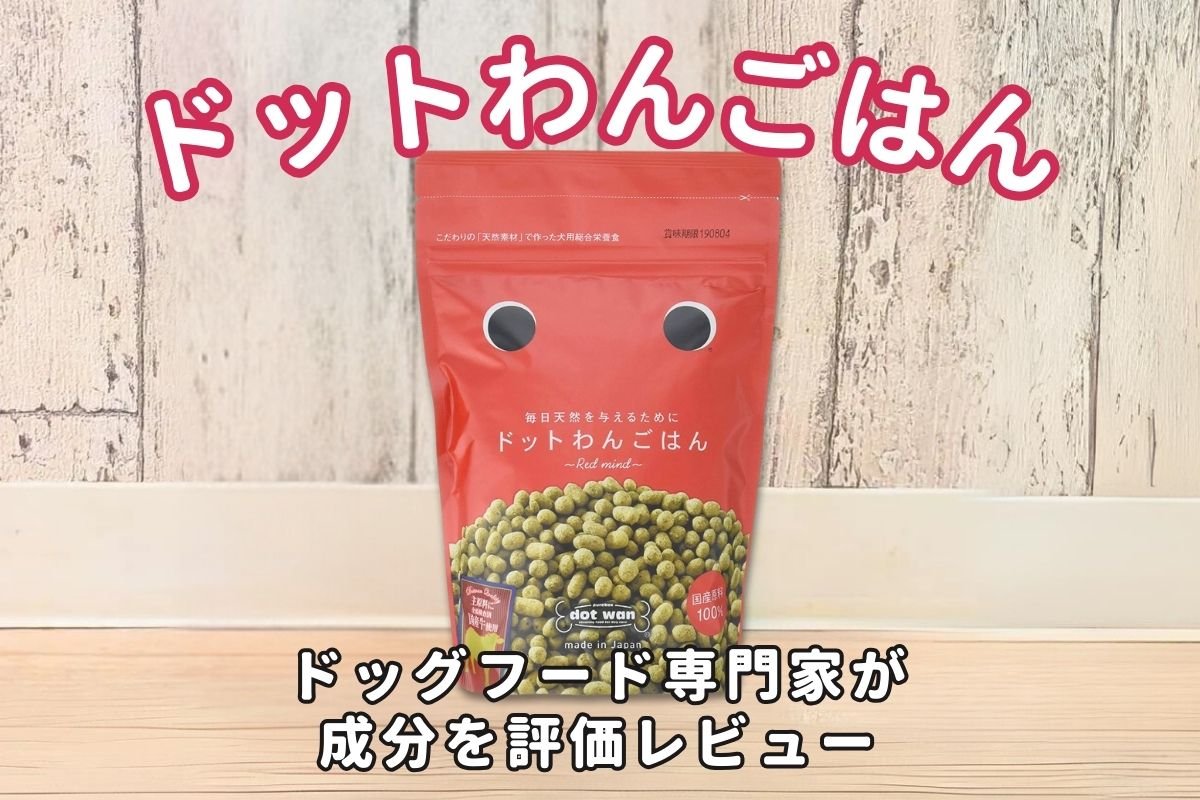 安全に与えるための保存と管理の基準