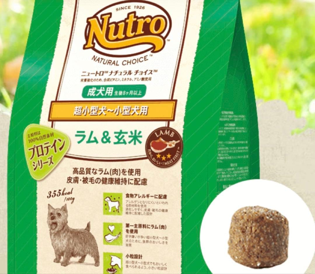 小型犬におすすめのドッグフード厳選7選