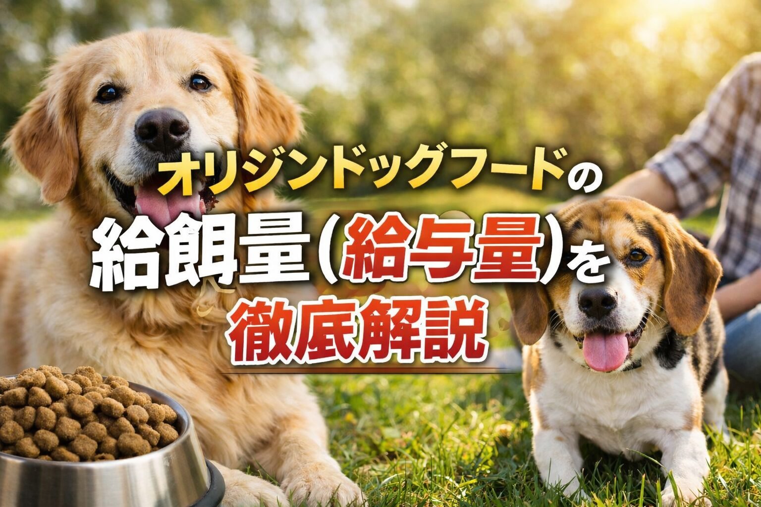 年齢別に見る去勢後のごはん調整