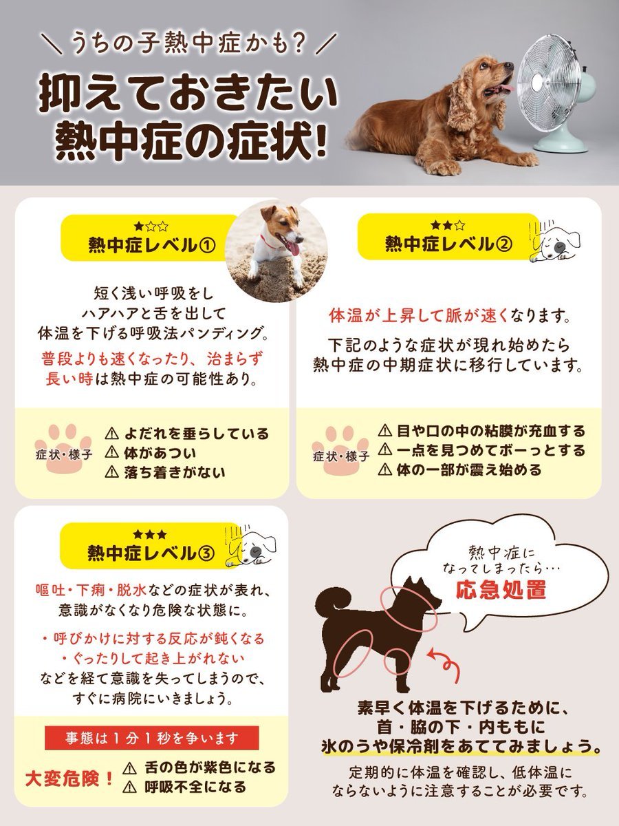 季節別に気をつけたい保存のポイント
