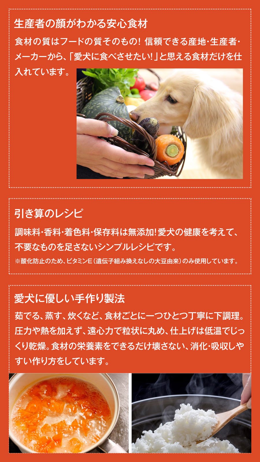 シニア犬がドッグフードを食べないときの原因と対処