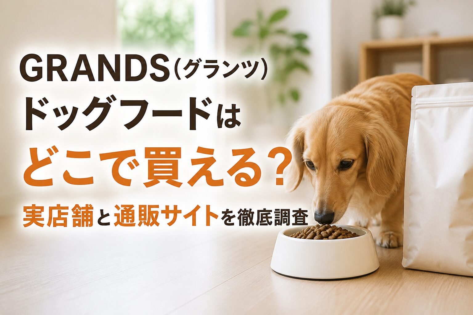 市販ドッグフードが多すぎて迷う理由