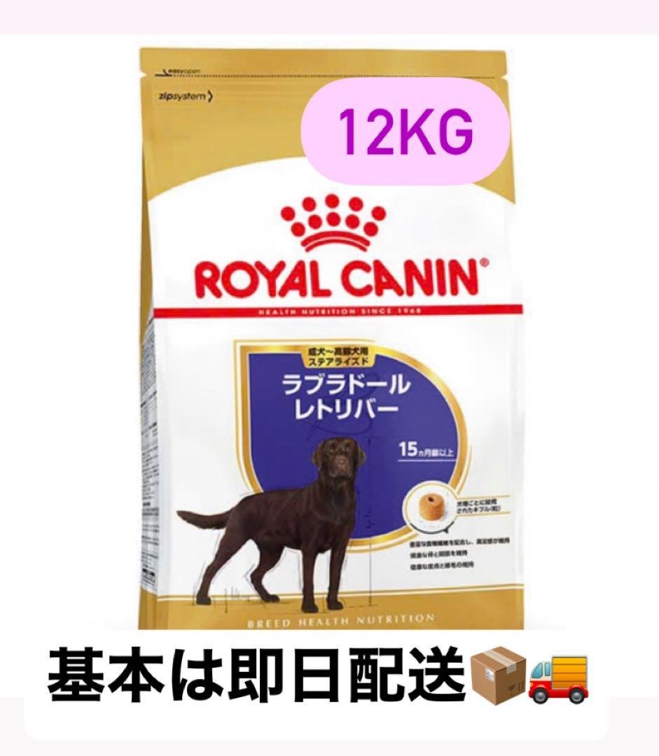 シニア犬向けドッグフードを選ぶ基本ポイント