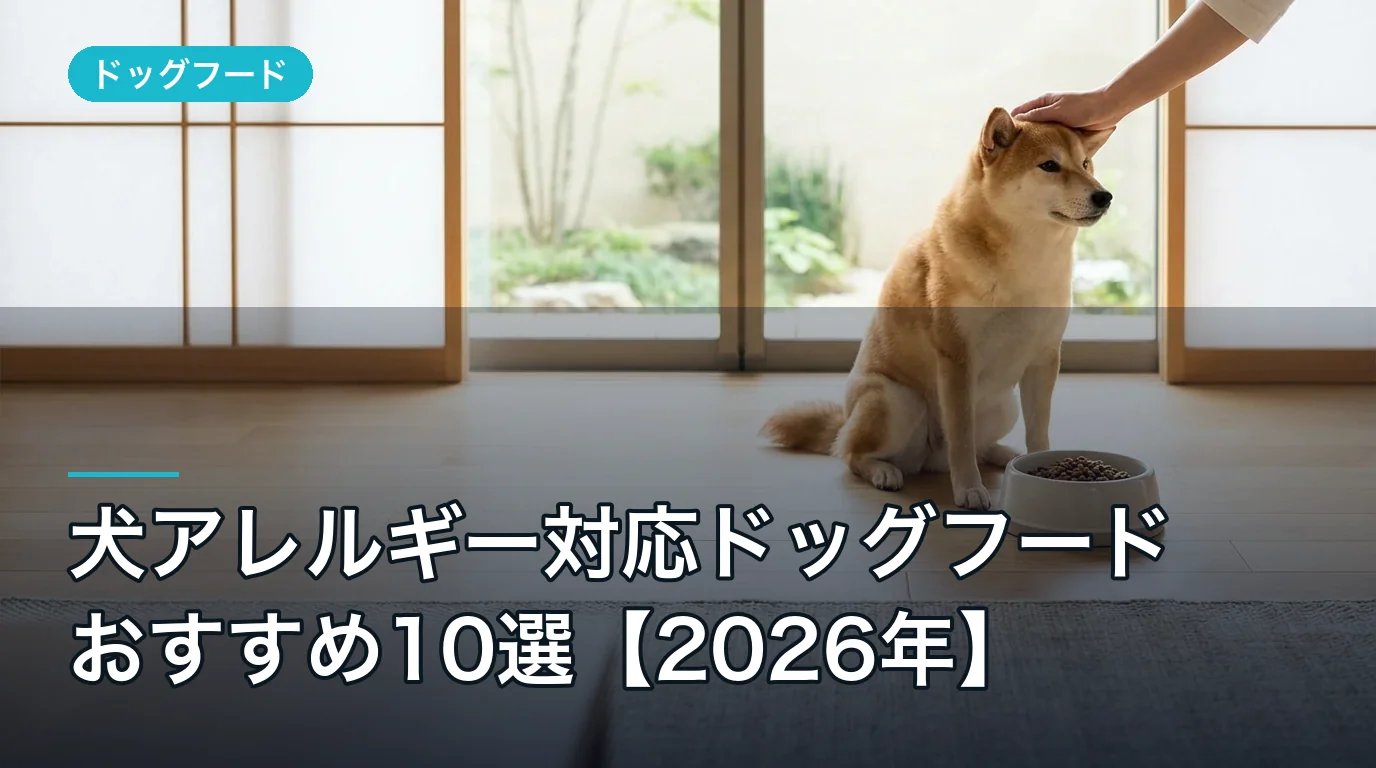 目的別シニア犬向けドッグフードおすすめ10選