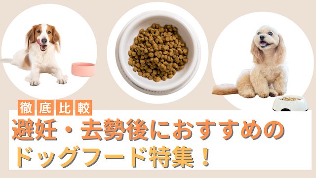 去勢後フードはいつまで続けるべきか