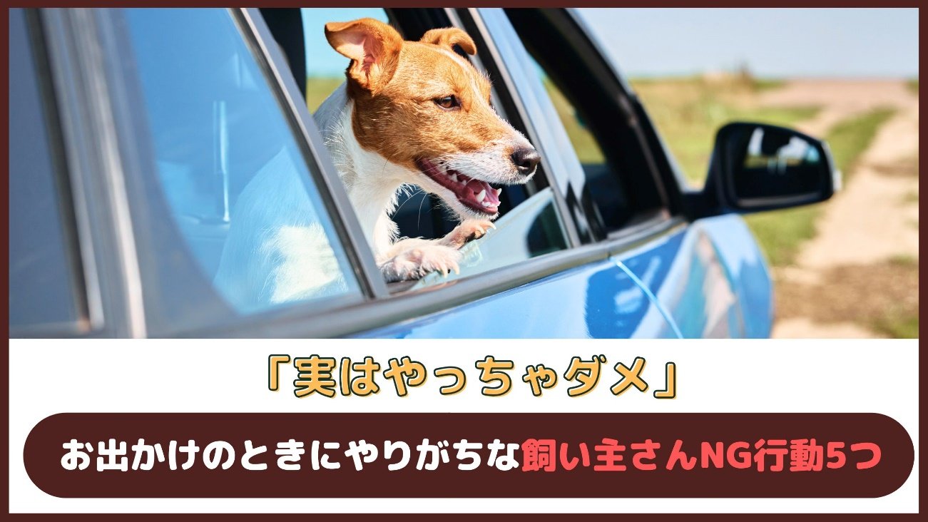 切り替え時にやりがちなNG行動とリスク