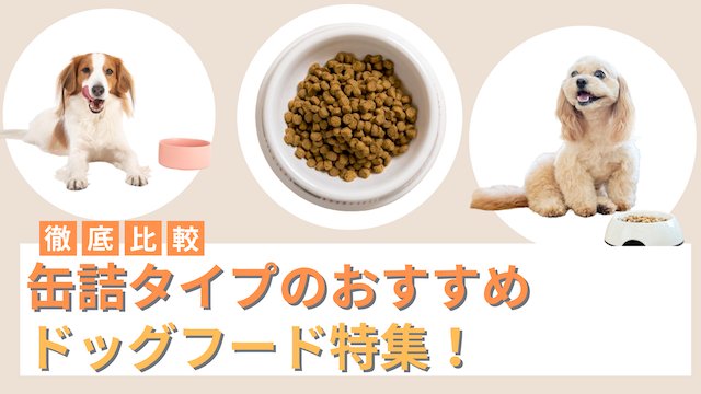 シニア犬用ドッグフードに関するよくある疑問