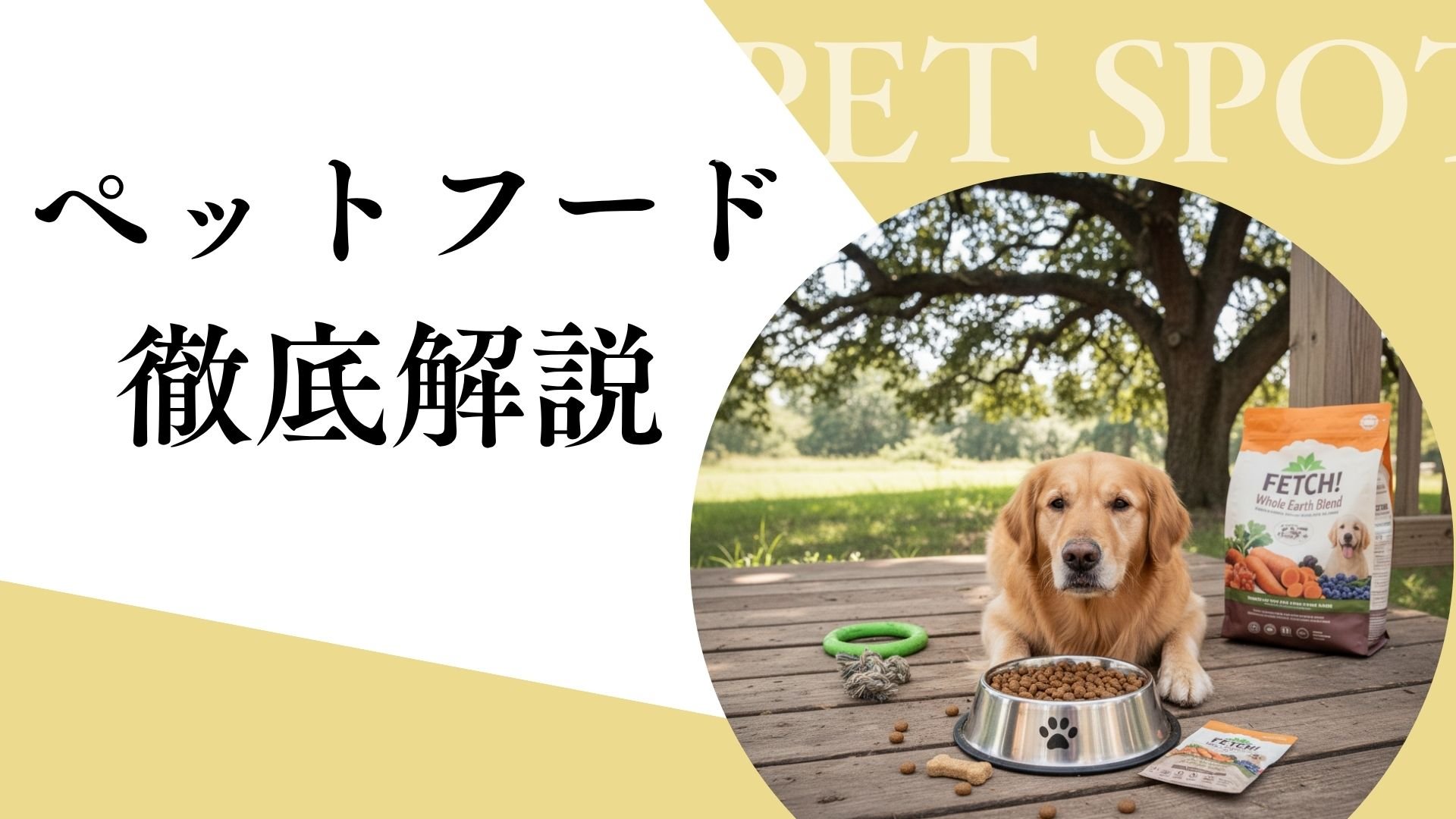 体質や悩み別に見るシニア犬ドッグフードの選び方