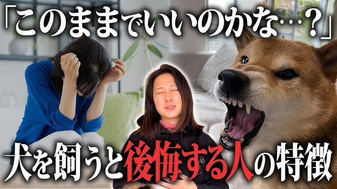 犬が吠える悩みに共通するしつけの基本原則