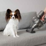 犬アレルギーの病気の悪化を防ぐ掃除方法３つ