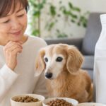 シニア犬のドッグフード失敗しない選び方とおすすめ10選