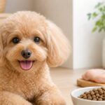 去勢後に太りやすい犬のごはん 失敗しないドッグフード5選