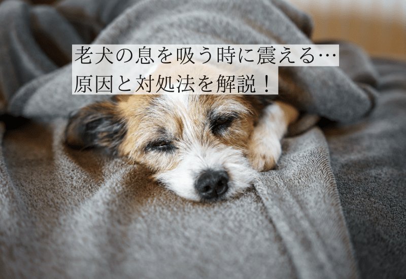 震えと痙攣の違いと見分け方