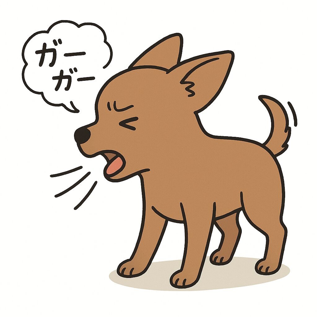 犬が咳をしているときの自宅での対処法