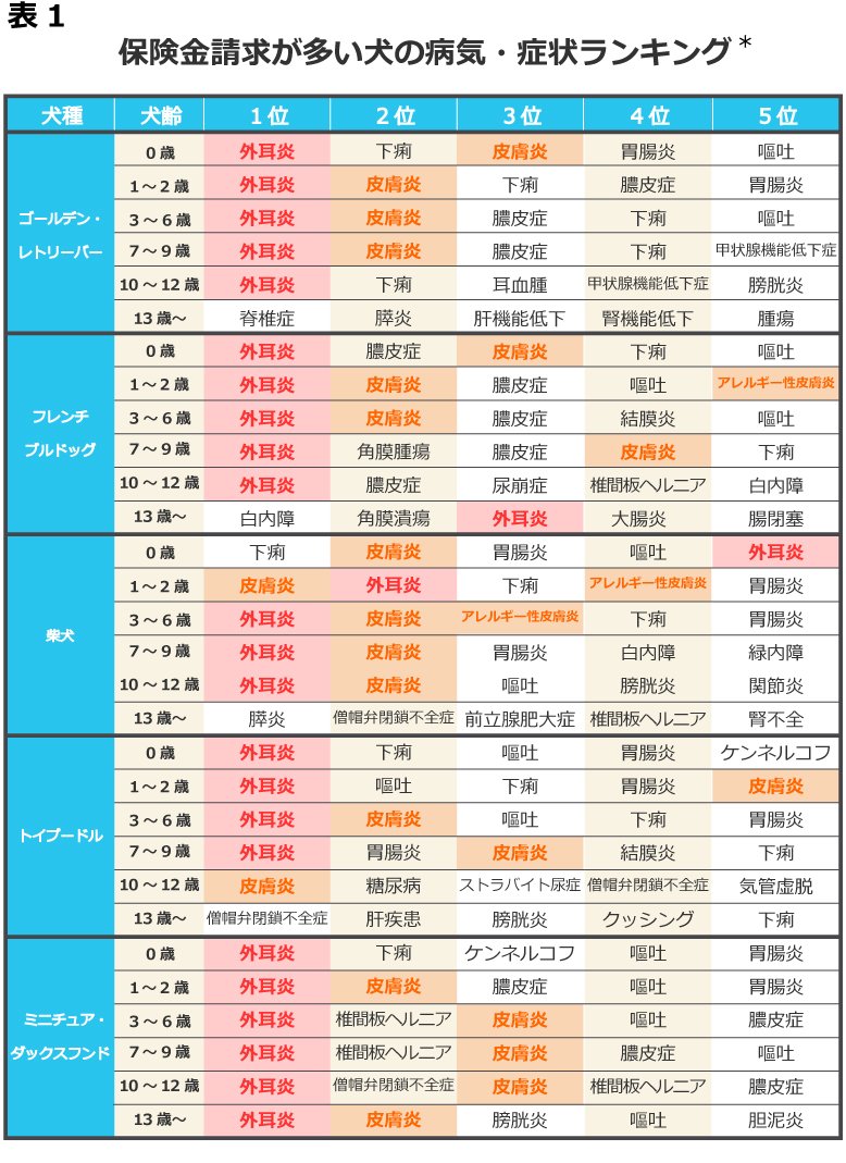 皮膚病になりやすい犬種と年齢の傾向