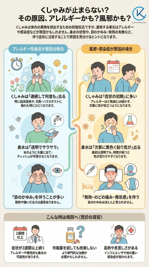 犬が咳をする主な原因は生理現象と病気に分かれる