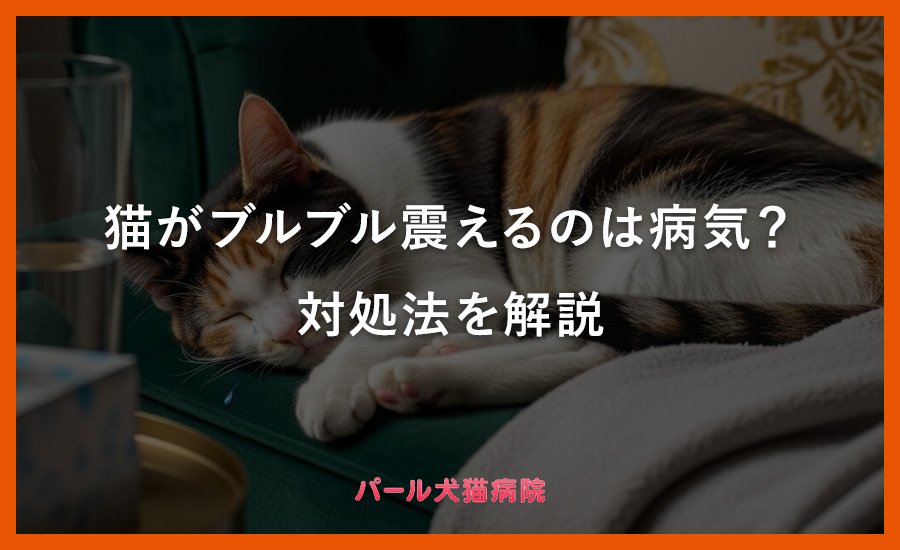 犬が震えているとき自宅でできる対処法