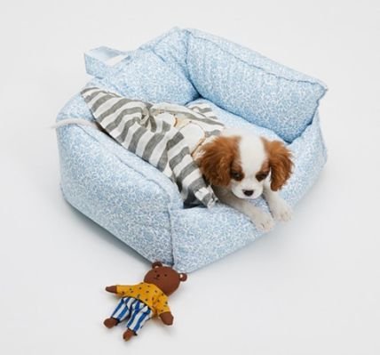 犬の名前を決める前に押さえたい基本